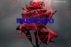 Artwork-Cover-How-Could-You-HARMONIQ-WEB